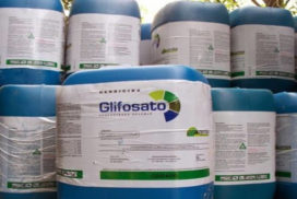 glifosato bayer