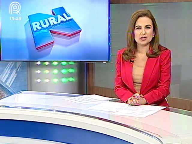 Fonte: Canal Rural