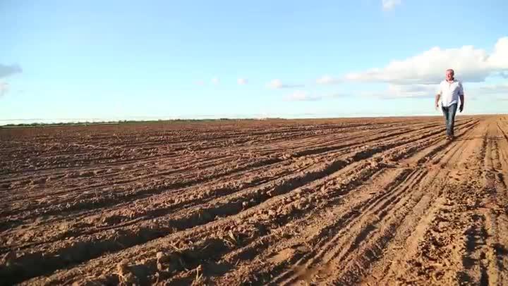 Investimento em irrigação melhora produtividade na Bahia