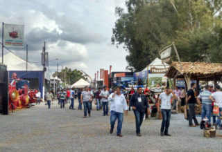 Fonte: Júlio Prestes/Canal Rural