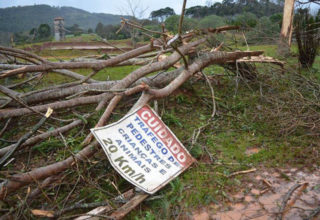 Fonte: Sindicato Rural de Franciso Beltrão (PR)