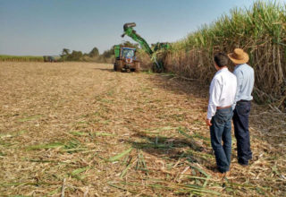 Fonte: Suelen Farias/Canal Rural