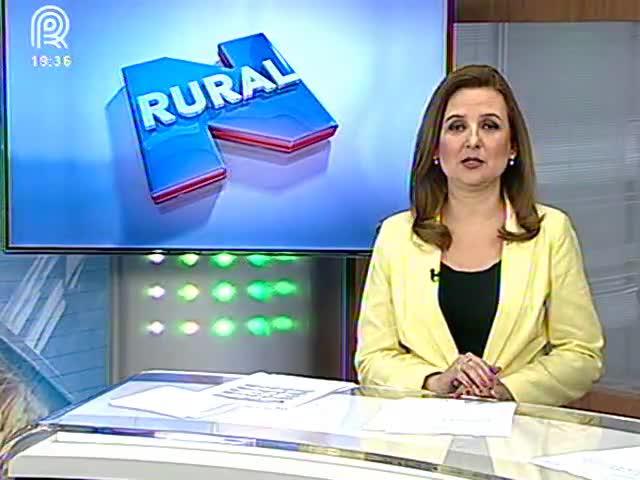 Seguro rural: produtores têm dúvidas sobre novo modelo