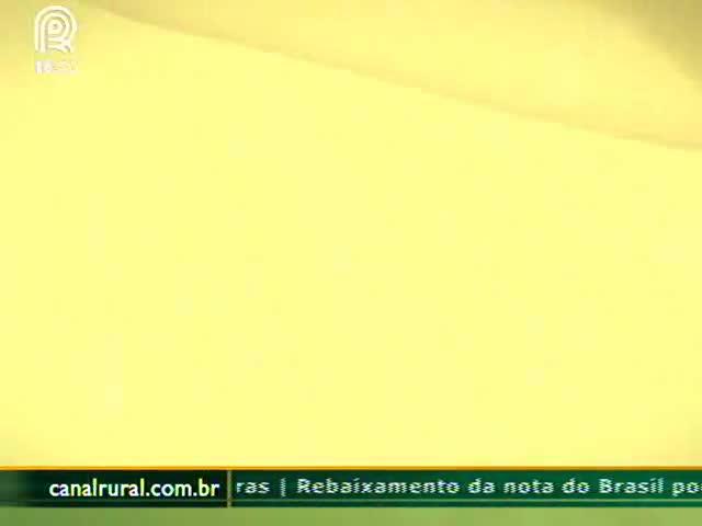 Novo modelo pode aumentar adesão ao seguro rural