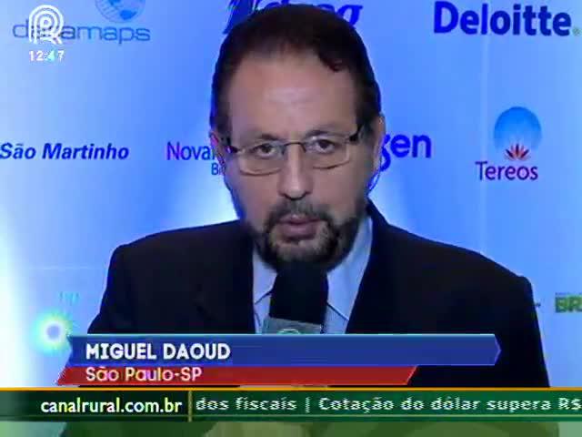 Dólar alto impacta no preço do açúcar