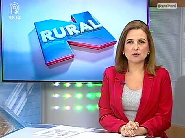 Arroz: entidades pedem mais tempo para o plantio