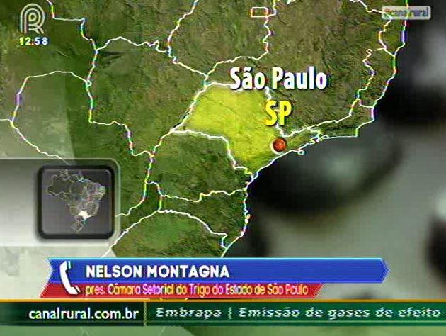 Trigo: eleição na Argentina não deve afetar importação do Brasil