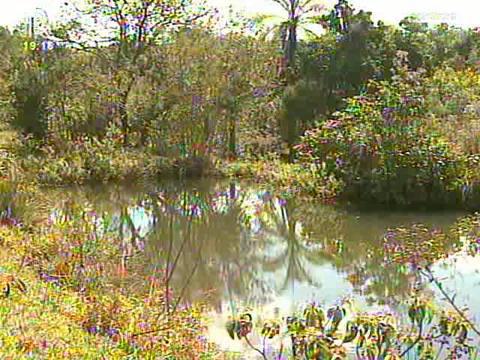 Preço do hectare de terra está mais caro em SP