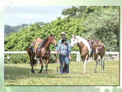 Porto Feliz recebe evento internacional de cavalos