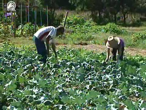 Para agricultor familiar, 2016 será desafiador