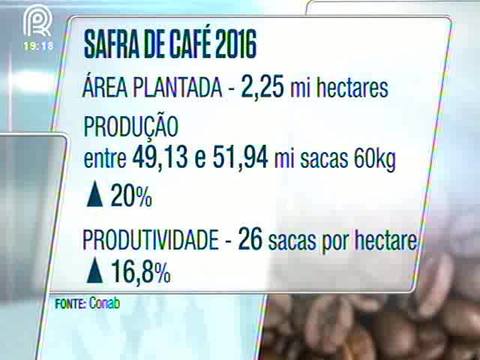 Safra de café pode chegar a 52 milhões de sacas