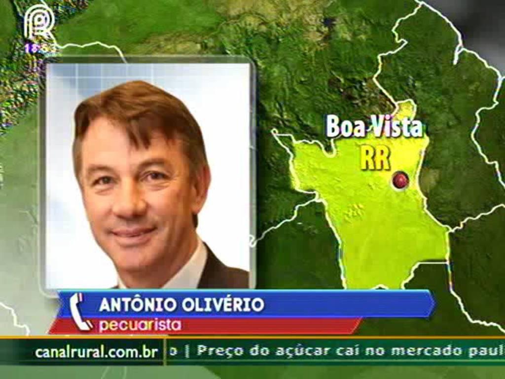 RR: abate de boi deve crescer com novo frigorífico