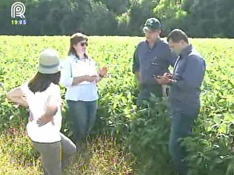 Emprego: cresce o interesse por empresas do agro