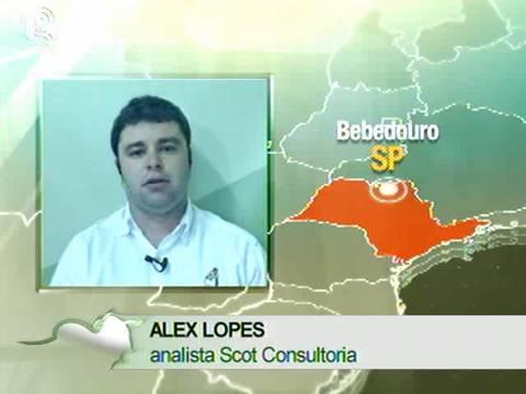 Boi gordo: mercado está valorizado em Araçatuba