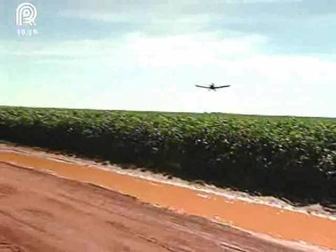 Congresso propõe aviação agrícola contra mosquito