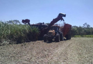 Fonte: Roberta Silveira/Canal Rural