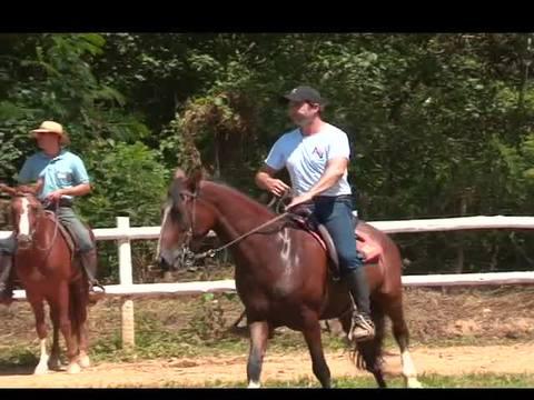 Curso de equitação ensina a lidar com mangalarga
