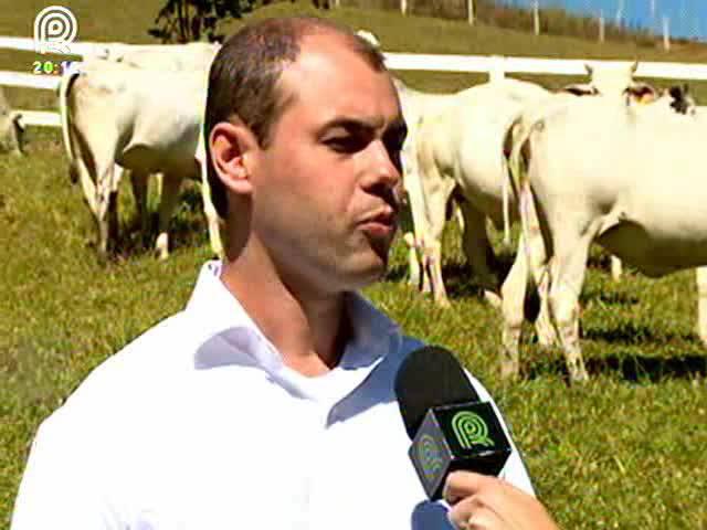 Saiba como cuidar do gado no período de frio