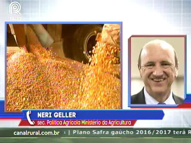 Com preço caindo, governo cancela leilões de milho