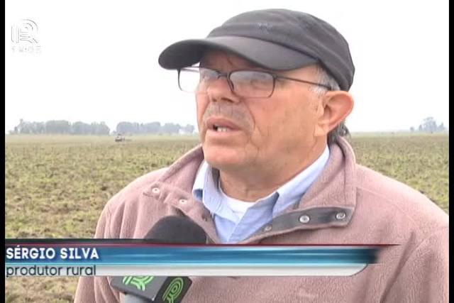 Dívidas e chuvas reduzem área de arroz no RS