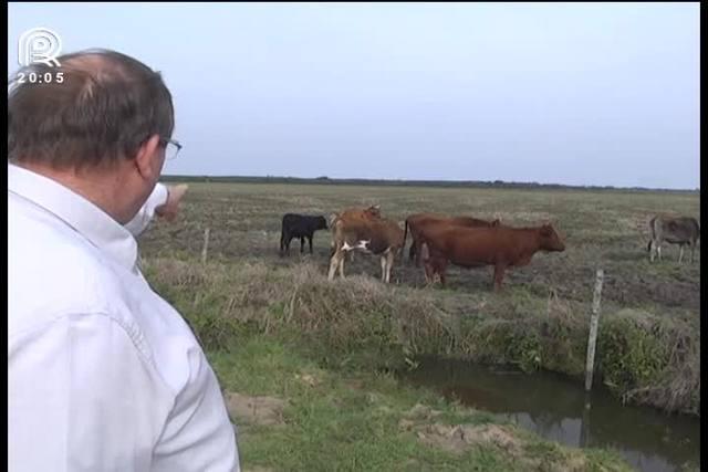 RS: força-tarefa combate furto e abate de animais