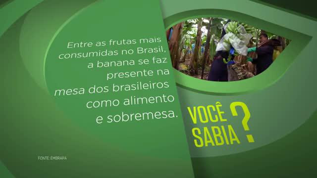 Blog Minuto do Sabor: brigadeiro de banana