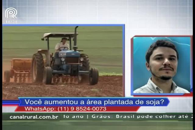 Soja: Piauí lidera redução de área