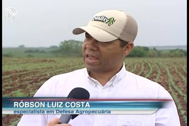 Controle biológico do solo aumenta a produtividade