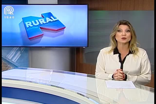 Pragas do algodão migram para a soja