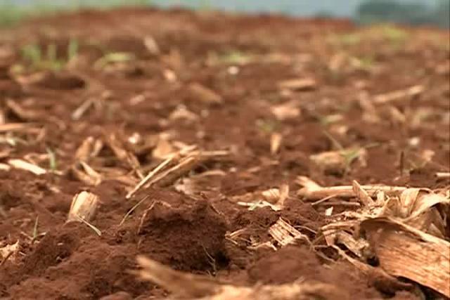 Conhecer o solo melhora o manejo e a produtividade