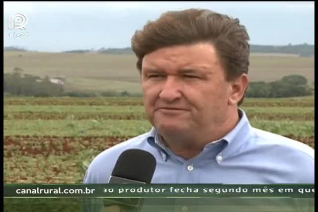 Seguro rural gera insegurança no Paraná