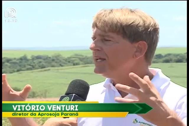 Saiba por que o Paraná tem a terra mais fértil do Brasil