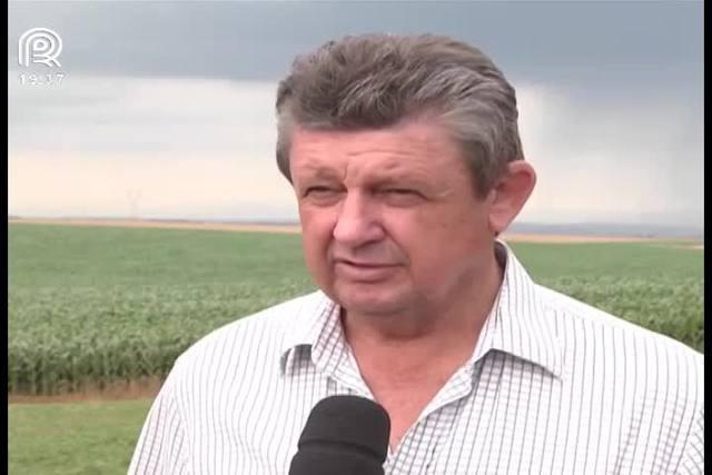 Clima preocupa produtores de milho do Paraná