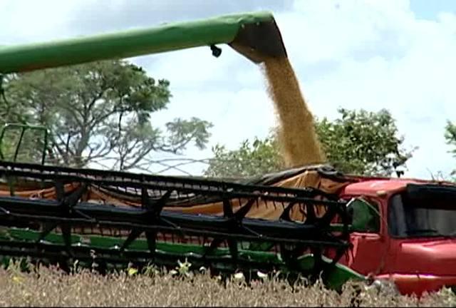 Cerrado: Sarney Filho propõe moratória da soja