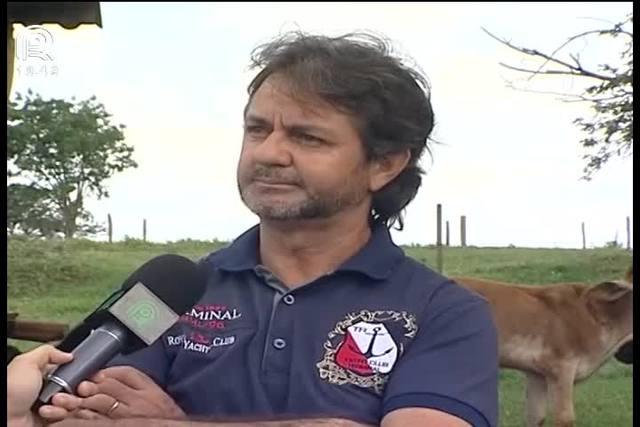 No vermelho, pecuarista abandona produção de leite