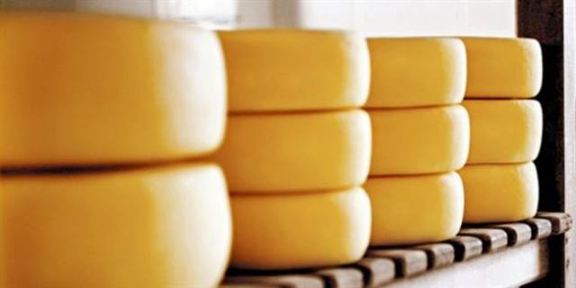Lei sanciona produção de queijo artesanal no RS