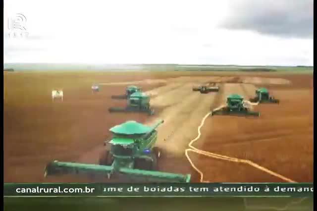 Consultoria prevê safra de soja de 105 milhões de toneladas