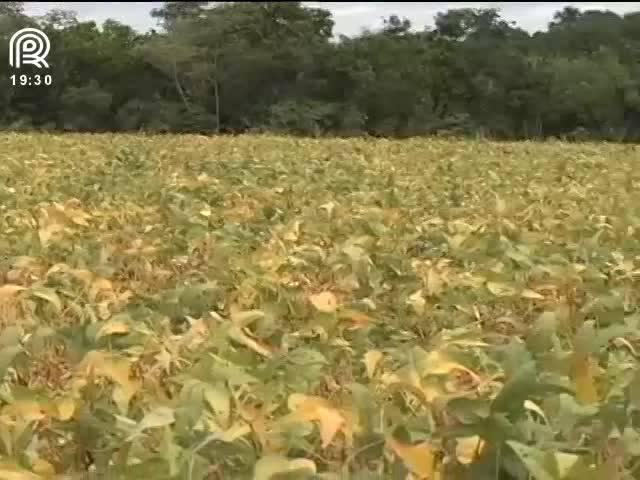 TO: sem ponte, caminhoneiro roda 100 km a mais