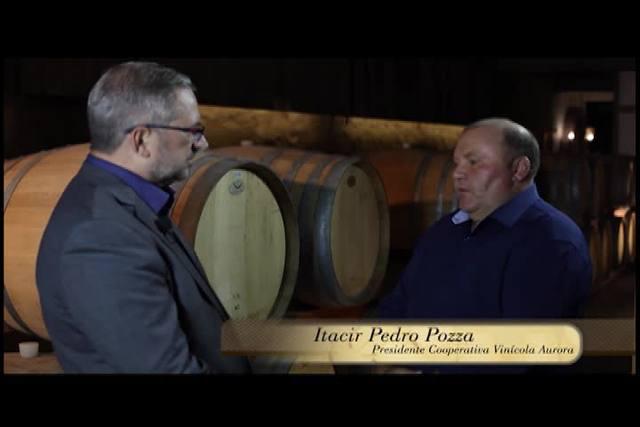 Produtores de vinho da Serra Gaúcha esperam safra excelente