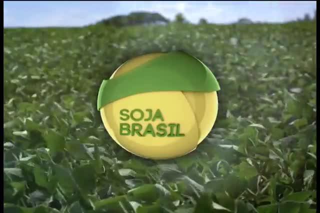 Comunidade Soja Brasil - 24/02