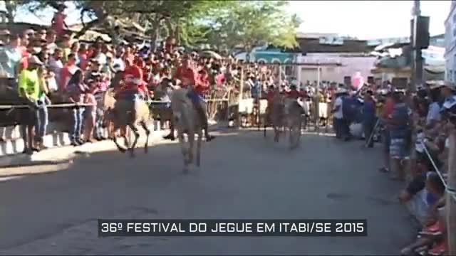 Corrida de jegue durante o Festival do Jegue em Itabi (SE)