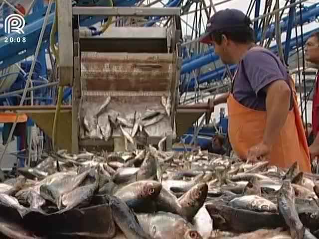 Pescadores protestam contra o fim do seguro defeso