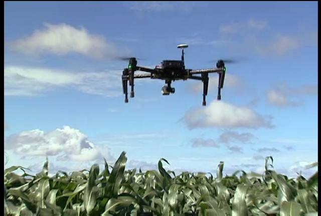 Drone que monitora plantas daninhas promete economia para o produtor