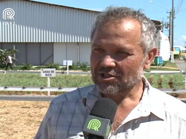 MT aposta em milho-pipoca, girassol e grão-de-bico