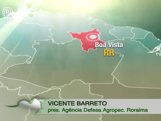 Roraima é declarado livre de aftosa com vacinação