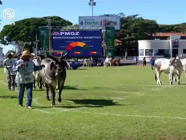 Expozebu encerra edição com lucro de R$ 34 milhões