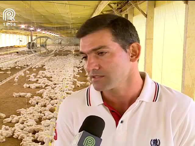 Produtor de aves corta custos após Carne Fraca