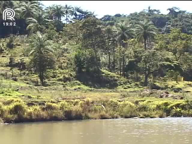 Aos 5 anos, Código Florestal precisa de ajustes