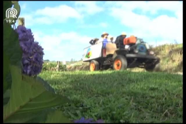 Turismo rural: conheça a região da Serra Gaúcha