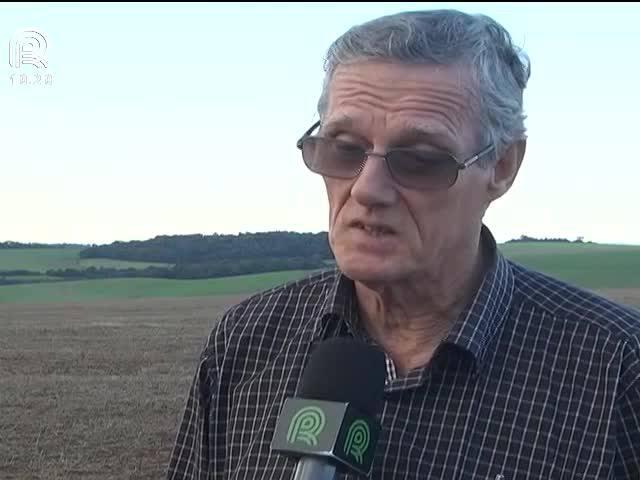 Chuva atrasa plantio de trigo no Rio Grande do Sul